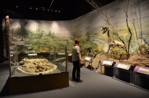 Im Paläontologischen Museum in Trelew
