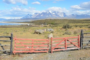 Rechts im Bergmassiv sind auf diesem Bild auch die eigentlichen Torres del Paine zu erkennen