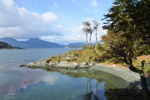 Ufer des Beagle-Kanals im Parque Nacional Tierra del Fuego