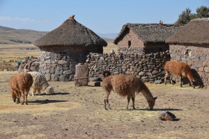Gehöft auf dem Altiplano