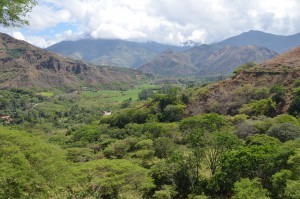Üppig grünes Tal bei Vilcabamba