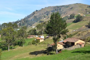 Landschaft bei Ingapirca