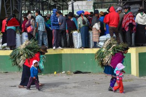 Agrarerzeugnisse werden auf den Markt von Guamote gebracht