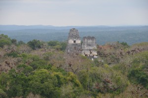 Tikal: Die Tempel I und II überragen den Dschungel von Petén.