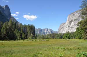 Im Yosemite Valley, Blickrichtung zum Talausgang