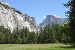 Im Yosemite Valley, Blickrichtung ins Tal hinein. Im Hintergrund Half Dome
