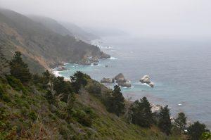 Die Küste am Highway California 1 im Nebel