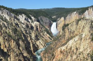 Canyon of the Yellowstone mit den Lower Falls des Yellowstone Rivers
