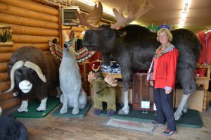 Plüschtiere in einem Gift Shop in Anchorage. Der Elch ist schon für 7.999 $ zu haben.