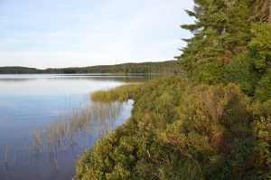 Canisbay Lake im Algonquin Provincial Park in Ontario